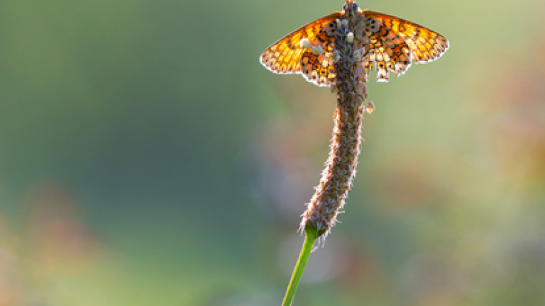 Les engagements de Colas sur l'environnement